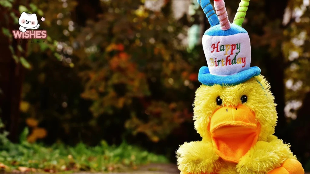 happy birthday nephew pics